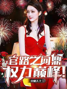 官途问鼎 小说