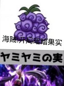 海贼之开局暗暗果实小说