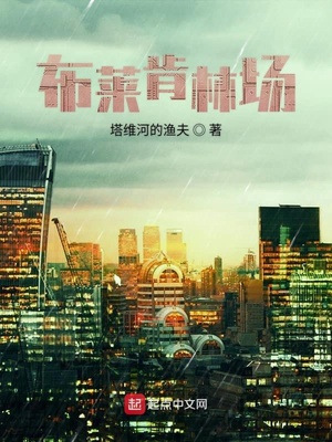 布林肯采访