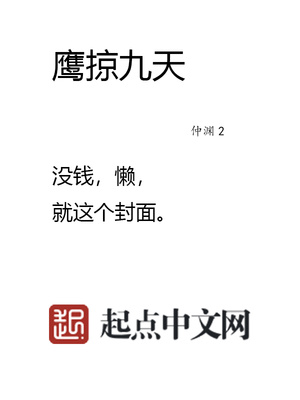 鹰掠九天txt精校版