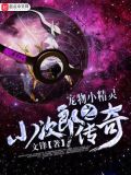 精灵宝可梦之小次郎传奇