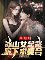 我的冰山女总裁又名离婚后