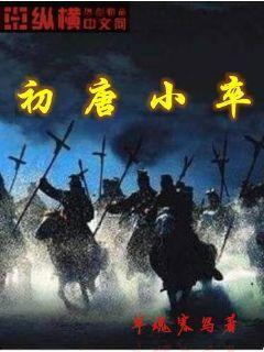 初唐小卒TXT