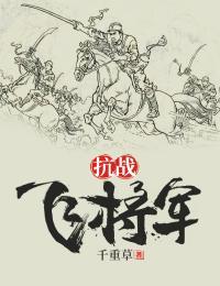 抗战飞将军 小说