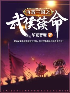 再造三国之武侯续命TXT下载