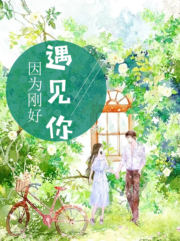 因为刚好遇见你李玉刚歌词