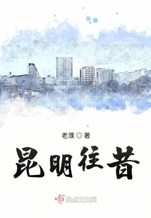 昆明往事 小说
