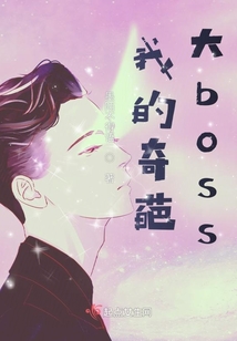 职场和爱情小说