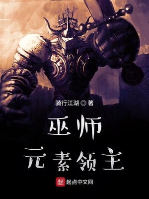 巫师:元素领主TXT下载八零