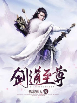 剑道至尊小说