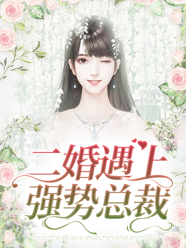 二婚再嫁霸道总裁