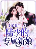 宠妻陆少的心尖宠
