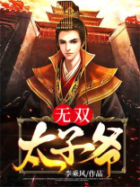 无双太子爷李烨小说