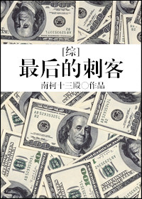 [综]最后的刺客 小说