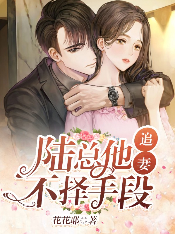 陆总追妻路坎坷