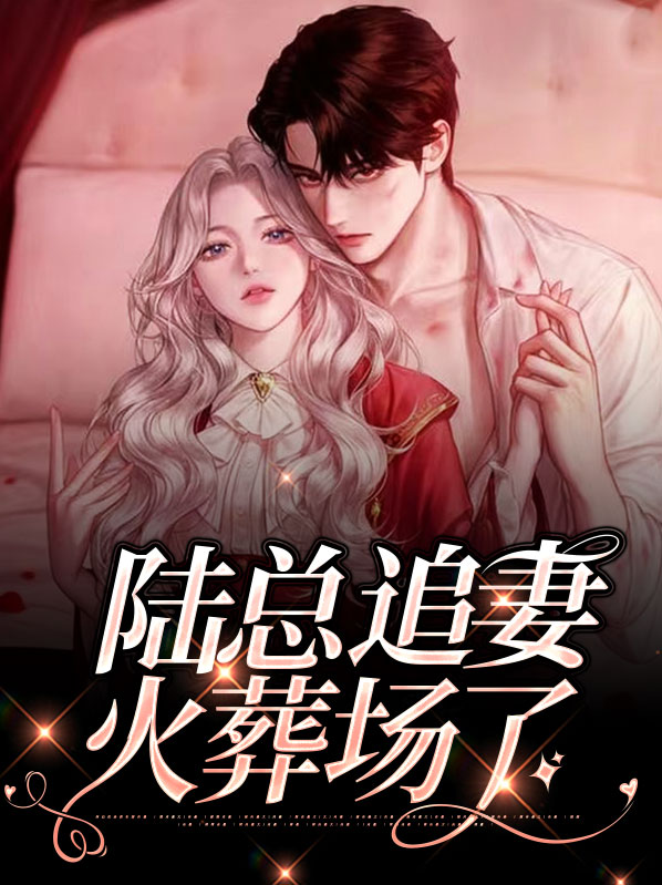 陆少追妻火葬场陆又廷
