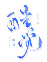 醒觉TXT下载
