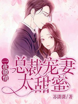 一夜锁情:总裁宠妻太甜蜜小说莫宛溪免费