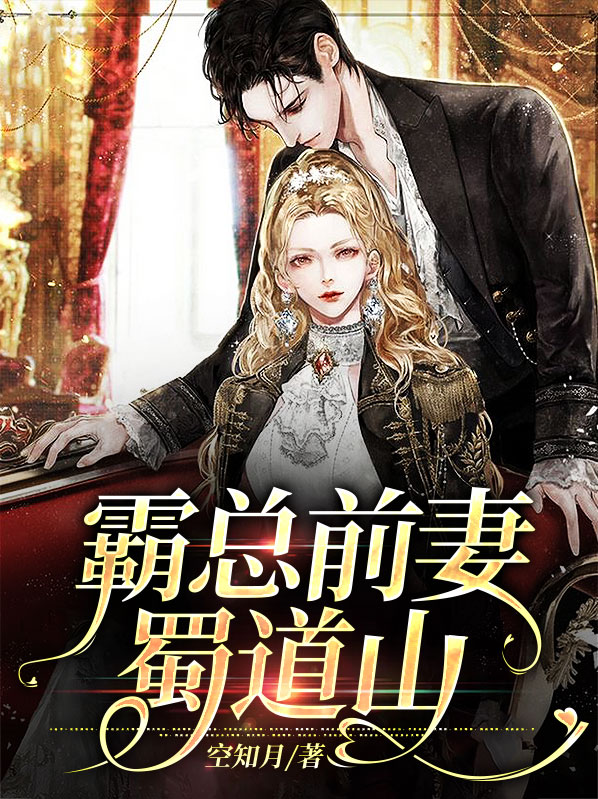 霸总的前妻 小说