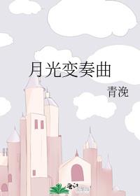 月光变奏曲 小说