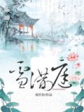 雪满庭小说讲的什么
