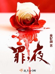罪夜无间电视剧免费完整版