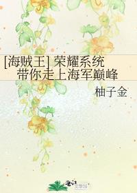 海贼王之王者海军