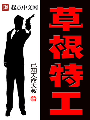 草根特工免费全文阅读