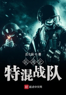 抗战之特混战队全本免费