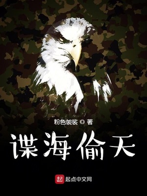 谍海偷天笔趣阁
