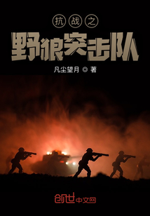 抗战之野狼突击队 小说