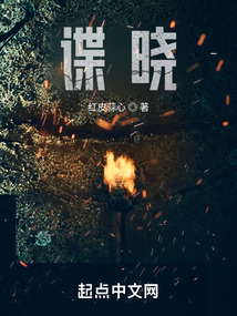 谍晓小说