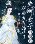 新婚夜,我治好了失明太子的隐疾