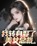 退婚后,我转身娶了美女总裁
