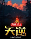 海贼王之天逆