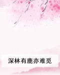 深林有鹿亦难觅