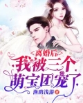 离婚后我被三个萌宝团宠了短剧免费观看