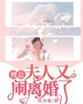 傅总,夫人又闹离婚了