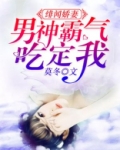 绯闻男神首席诱妻成瘾