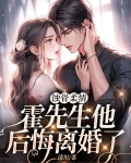 蚀骨柔情：霍先生他后悔离婚了