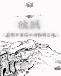 抗战:真理只在我大炮射程之内