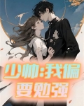 少帅:我偏要勉强