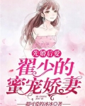 先婚后爱：翟少的蜜宠娇妻