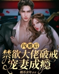 闪婚后,禁欲大佬破戒宠妻成瘾