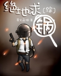 绝地求生t