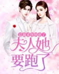 总裁求你别虐了,夫人她要跑了