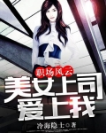职场风云:美女上司爱上我