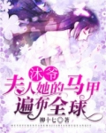 沐爷,夫人她的马甲遍布全球
