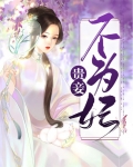 贵妾不为妃