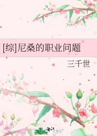 综尼桑的职业问题 百度网盘